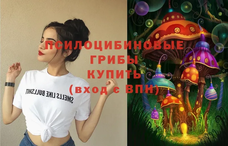 Галлюциногенные грибы MAGIC MUSHROOMS  как найти   Валдай 